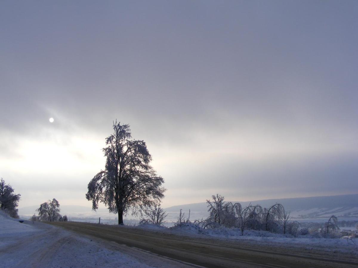 Dworek Lachowicze Grzegorzewice Экстерьер фото